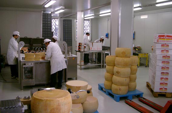 reparto confezionamento_parmigiano reggiano_cantarelli