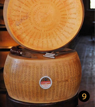 parmigiano reggiano vacche rosse